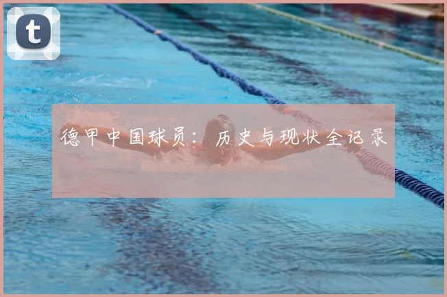 德甲中国球员:历史与现状全记录