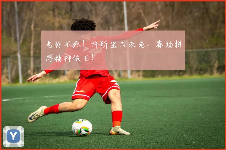 老将不死！许昕宝刀未老，赛场拼搏精神依旧！
