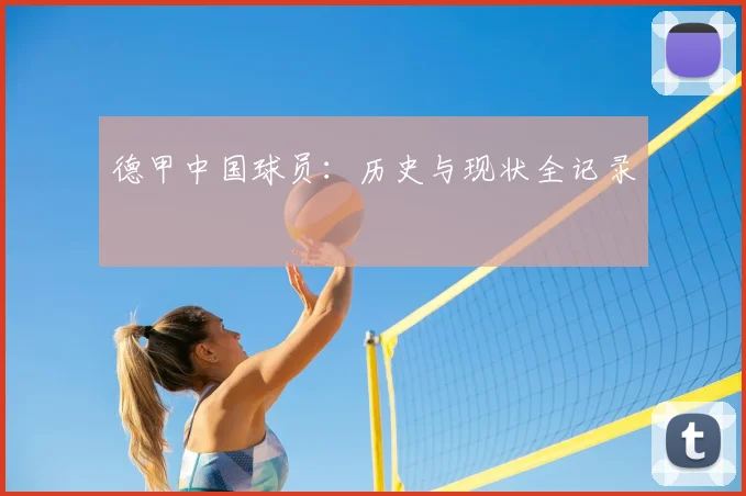 德甲中国球员：历史与现状全记录